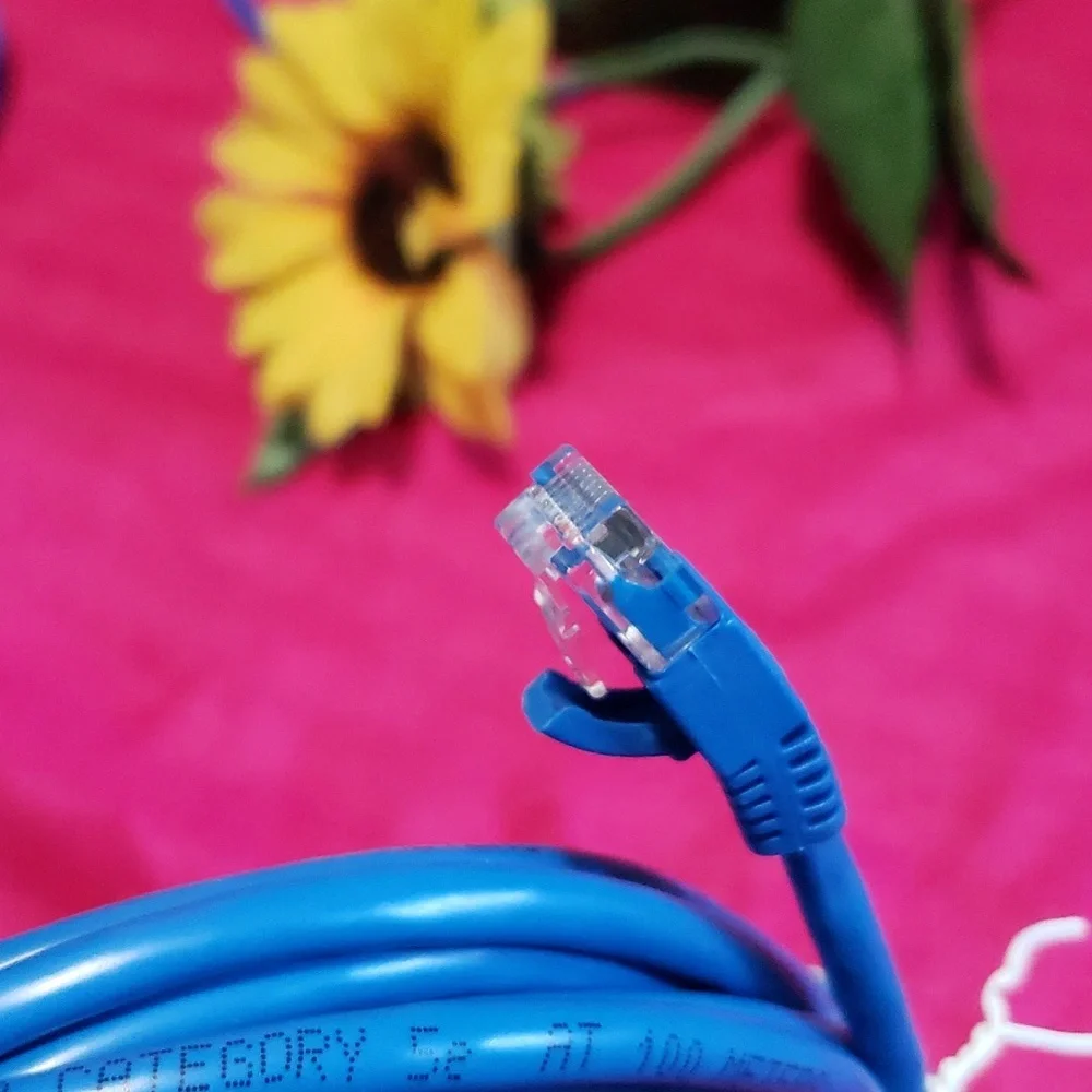 Cat 5e 10' patch cord Blue 